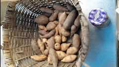 20131124 Organic Farm44